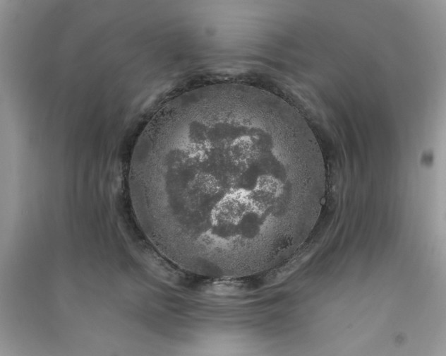 X0000091010758200708161958