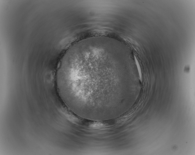 X0000091010759200708161958