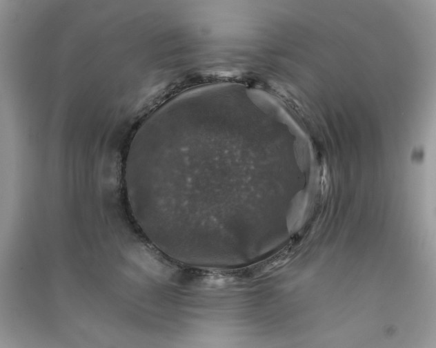 X0000091010760200708161958