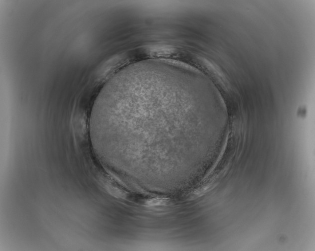 X0000091010761200708161958