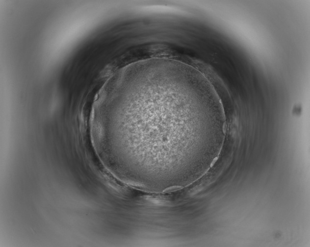 X0000091010763200708161958