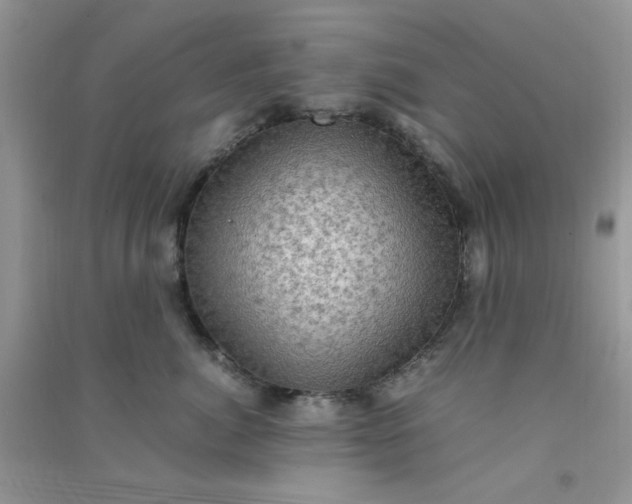 X0000091010764200708161958