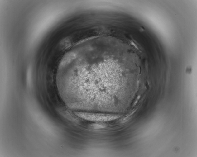 X0000091010765200708161958