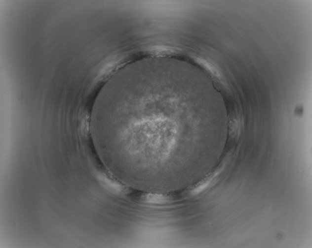 X0000091010766200708161958