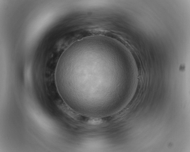 X0000091010767200708161958