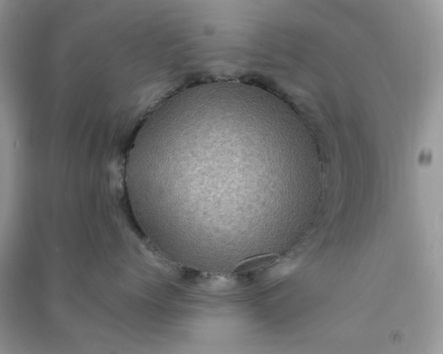 X0000091010768200708161958