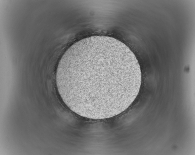 X0000091010769200708161958