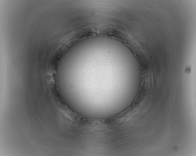 X0000091010770200708161958