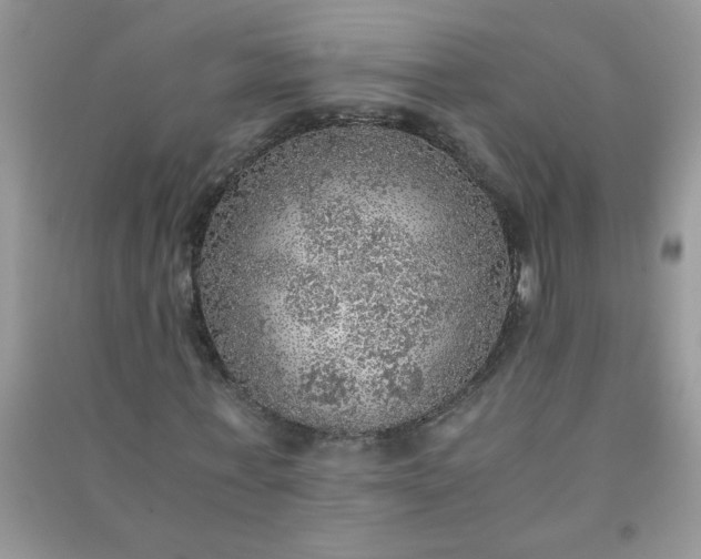 X0000091010771200708161958