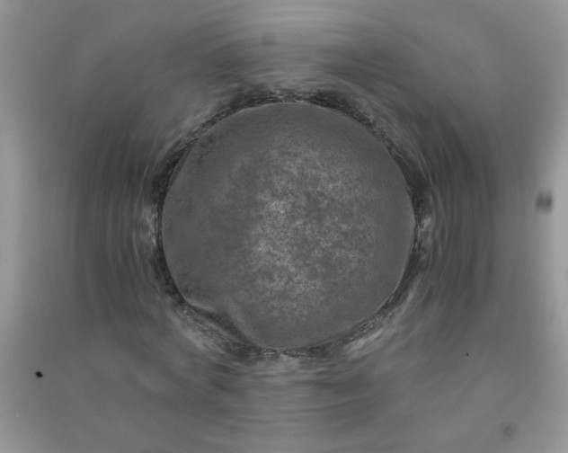 X0000091010772200708161958