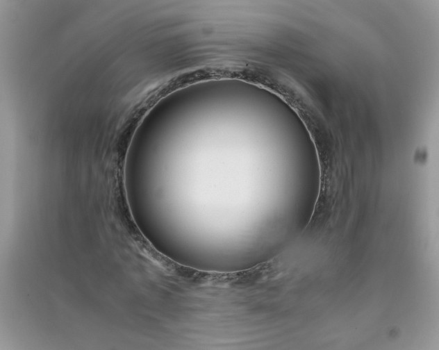 X0000091010773200708161958