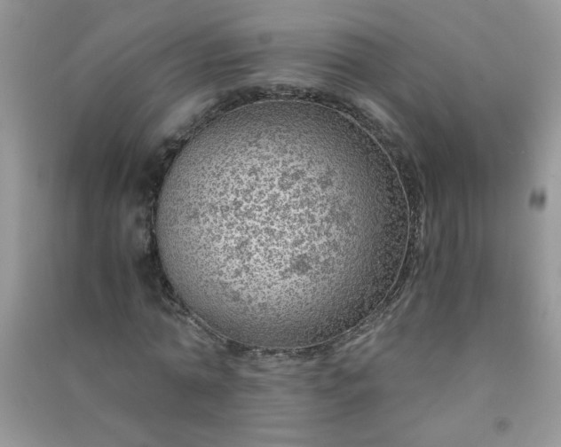 X0000091010774200708161958