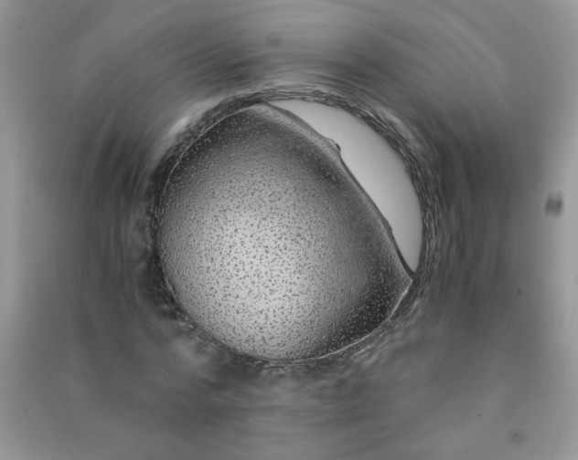 X0000091010776200708161958