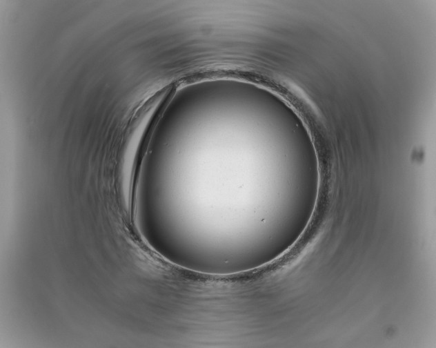 X0000091010777200708161958