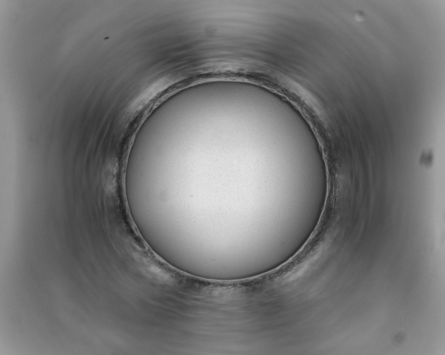 X0000091010778200708161958