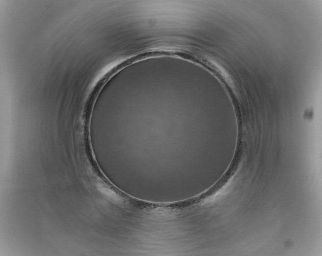 X0000091010779200708161958