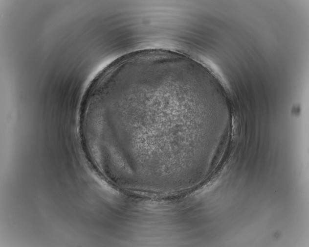 X0000091010780200708161958