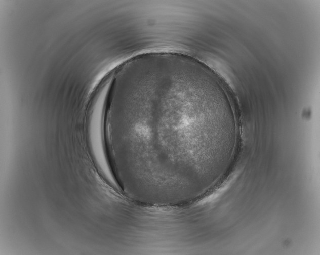 X0000091010781200708161958