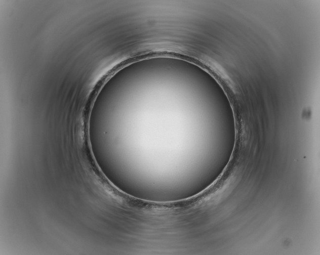 X0000091010782200708161958