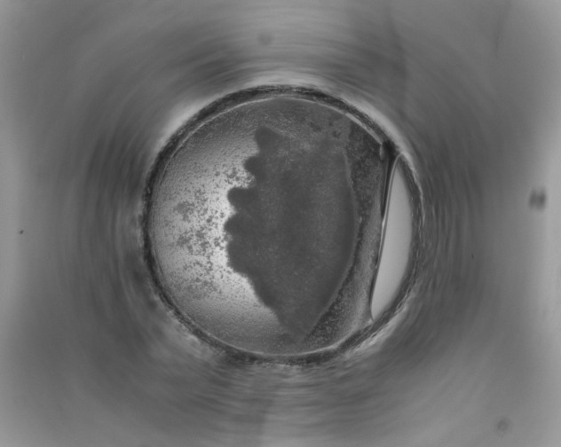 X0000091010783200708161958