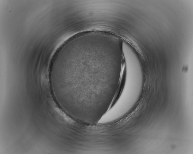 X0000091010784200708161958