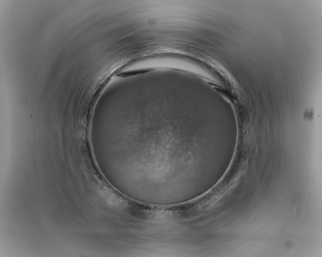 X0000091010785200708161958