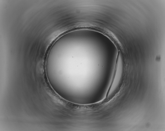 X0000091010786200708161958