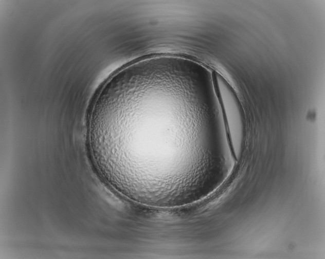 X0000091010787200708161958