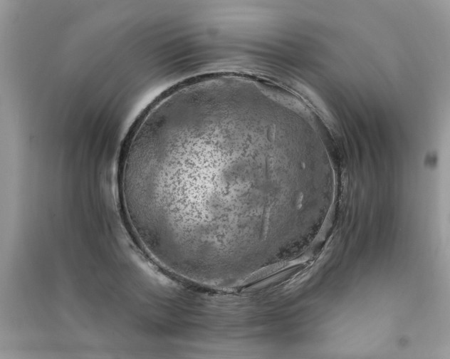 X0000091010788200708161958