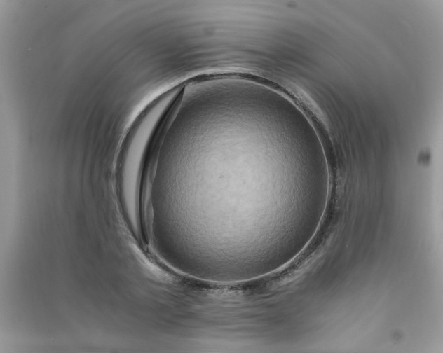 X0000091010789200708161958