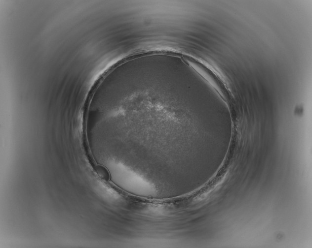 X0000091010790200708161958