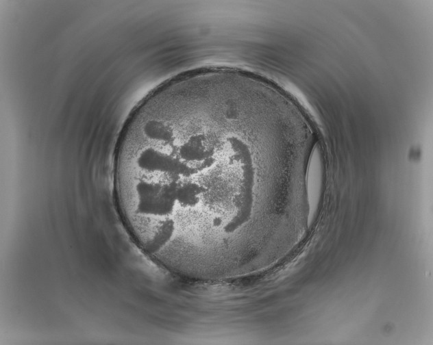 X0000091010791200708161957