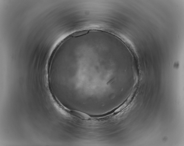 X0000091010792200708161957