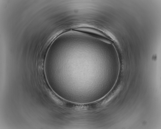 X0000091010793200708161957