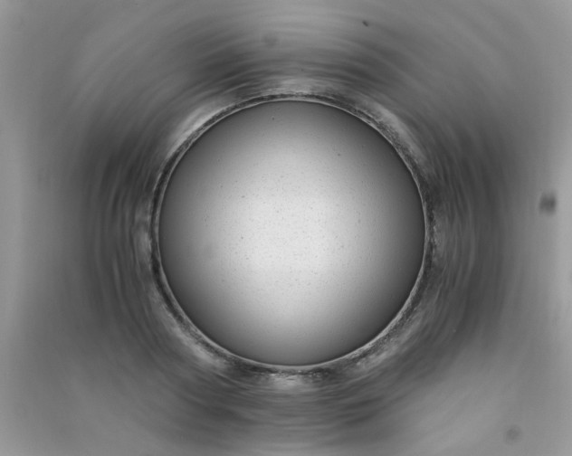 X0000091010794200708161957