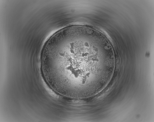 X0000091010795200708161957