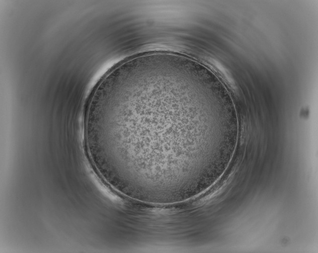 X0000091010796200708161957