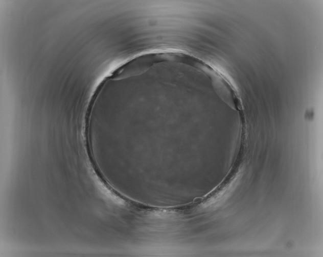 X0000091010797200708161957