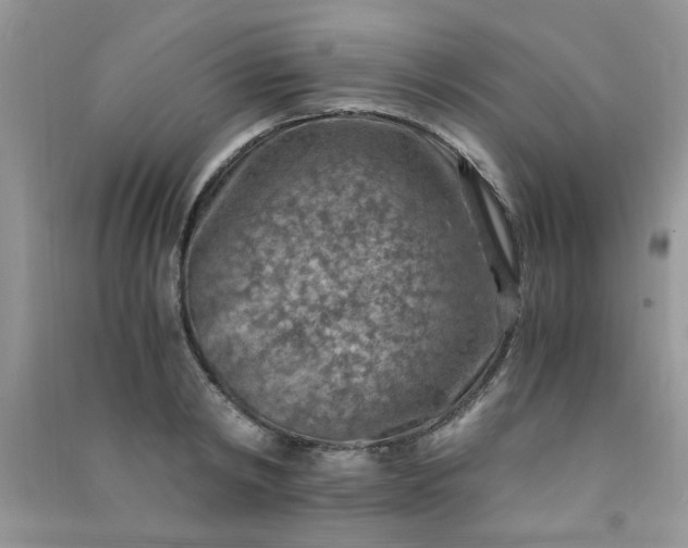 X0000091010798200708161957