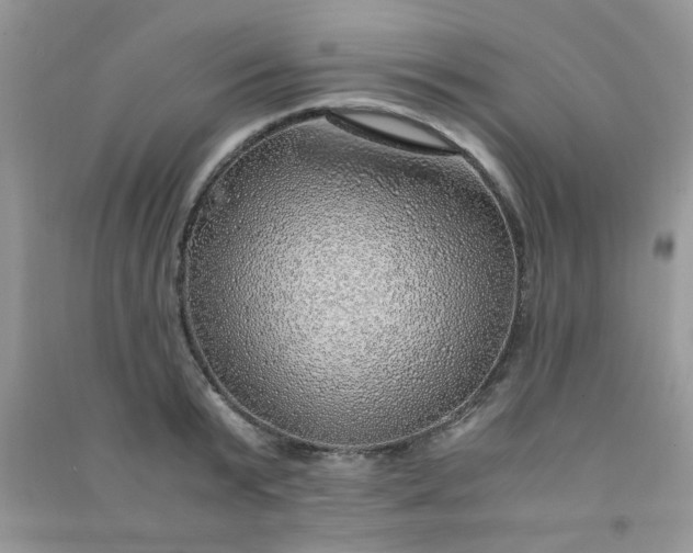 X0000091010799200708161957