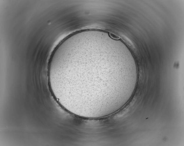 X0000091010800200708161957