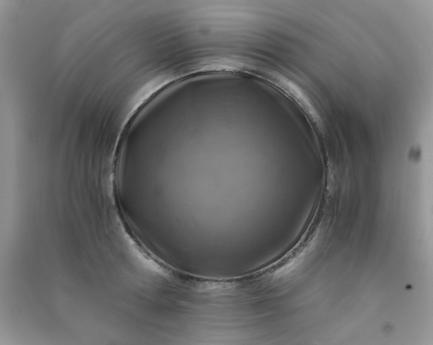 X0000091010802200708161957