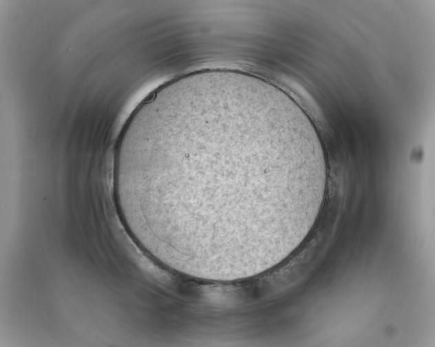 X0000091010804200708161957