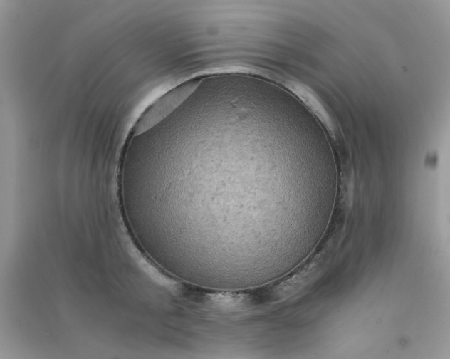 X0000091010805200708161957