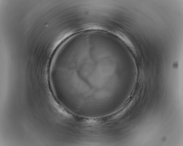 X0000091010806200708161957