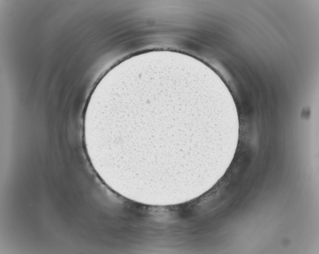 X0000091010807200708161957