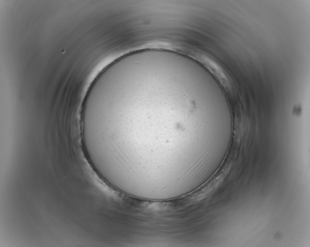 X0000091010808200708161957