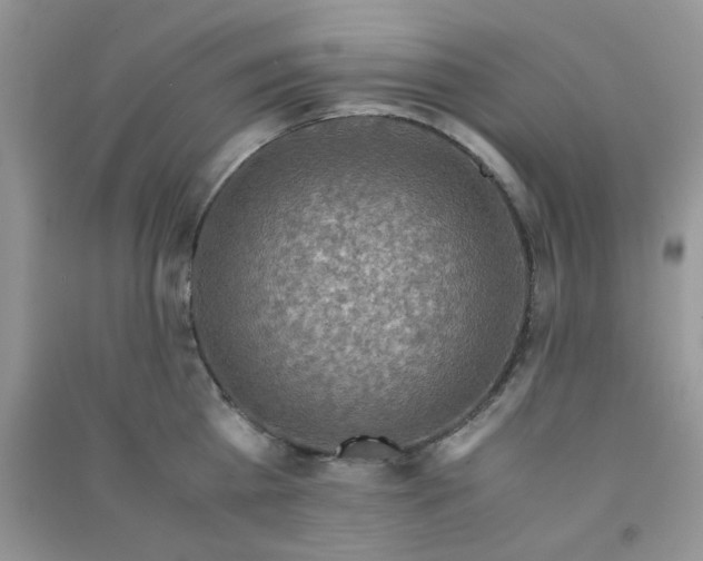 X0000091010809200708161957