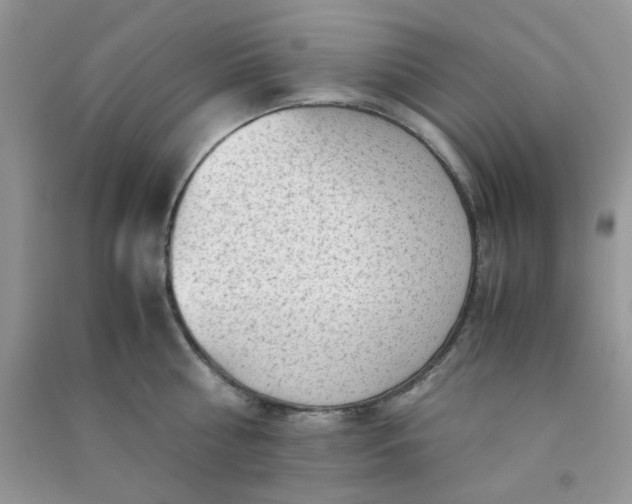 X0000091010810200708161957