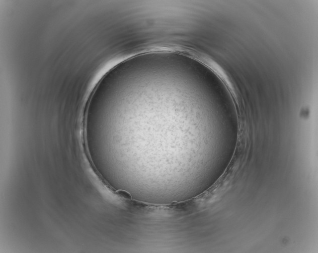 X0000091010811200708161957